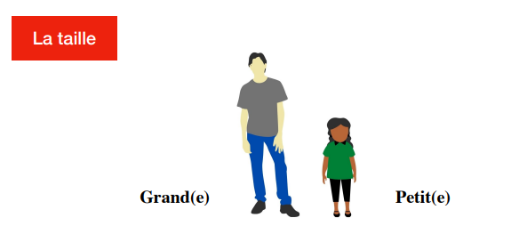 Personnes de différentes tailles