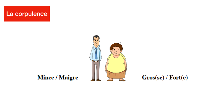 Différentes corpulences