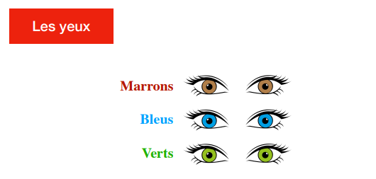 Yeux de différentes couleurs