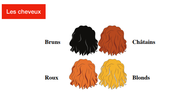 Cheveux de différentes couleurs
