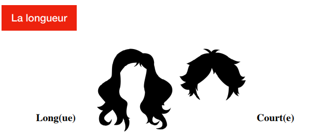 Cheveux longs et courts